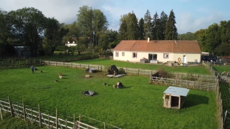 Expo Animalis 2024 : on y était…