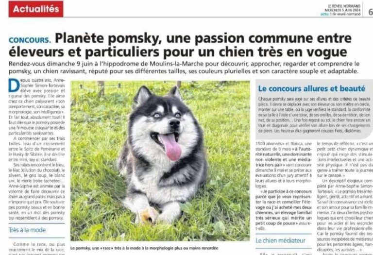 Journal « Le réveil normand »